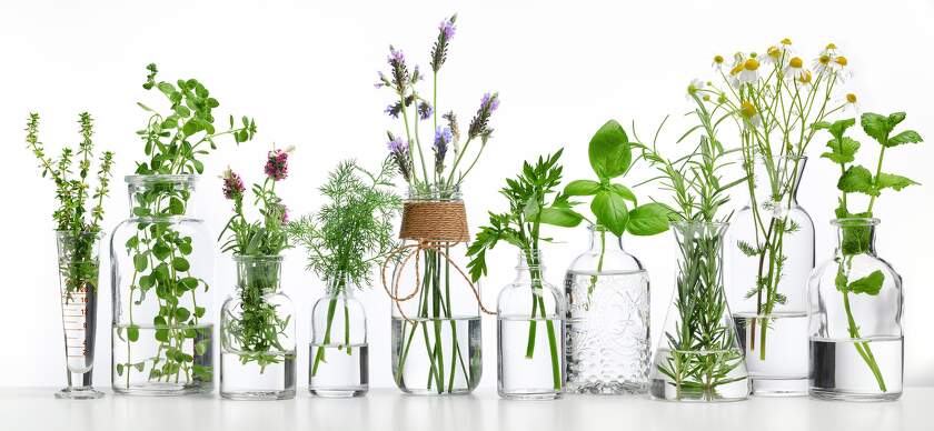 aromaterapia bylinky